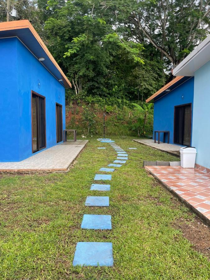 Posada Miradia Matapalo  Ngoại thất bức ảnh