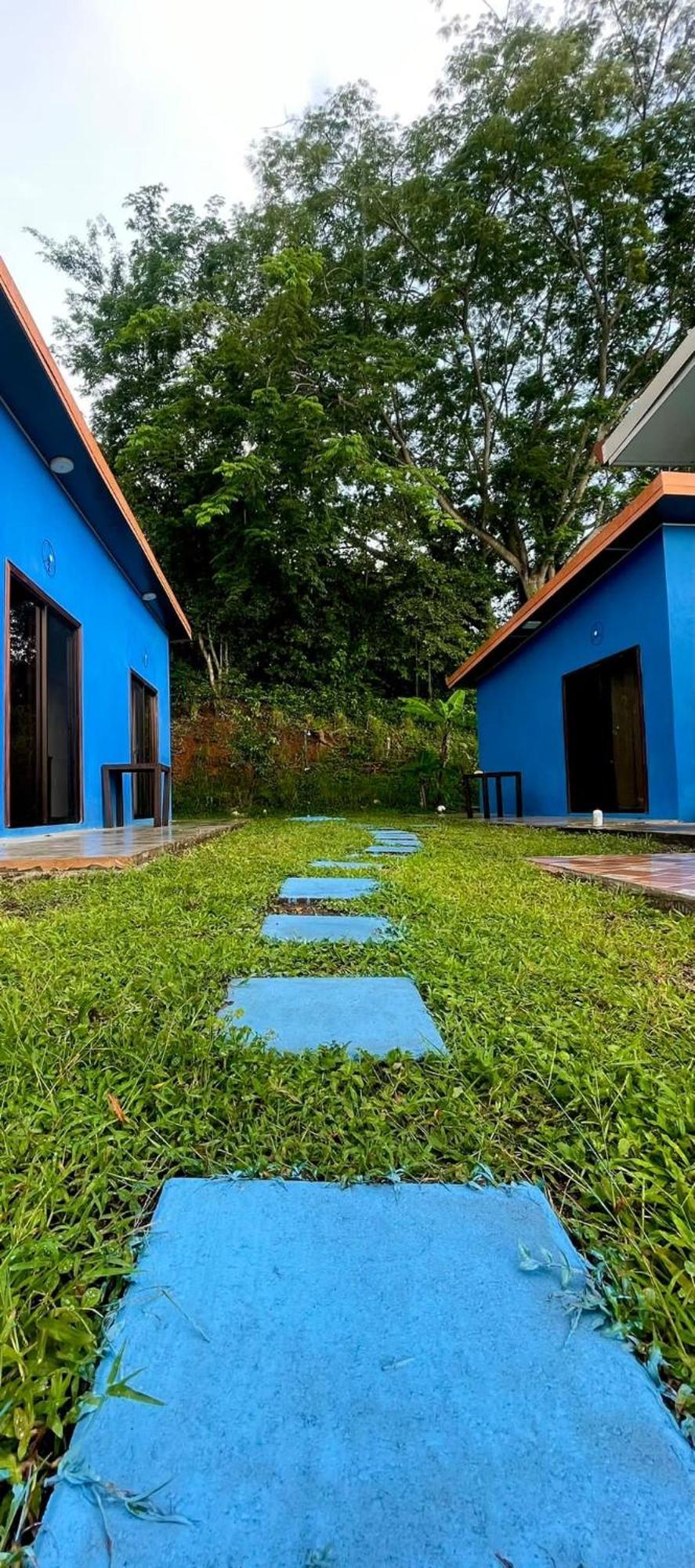 Posada Miradia Matapalo  Ngoại thất bức ảnh
